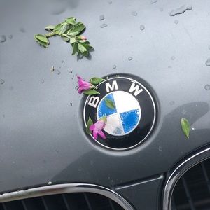 Meet your Posher, Tony